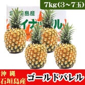 【予約受付】5/25~順次出荷【7kg(3~7玉)】石垣島産パイン「ゴールドバレル」