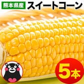 【予約受付】6/15~順次出荷【5本入】朝取り直送 熊本県産スイートコーン とうもろこし