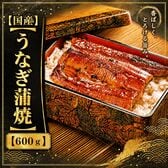 【計600g(4尾-6尾)/300g(2-3尾)×2p】鹿児島県産 はねだしうなぎ蒲焼き