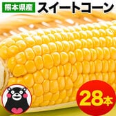 【予約受付】6/15~順次出荷【28本入】朝取り直送 熊本県産スイートコーン とうもろこし
