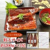 ニホンウナギ 長蒲焼 無頭 宮城県加工 特大サイズ約200g×3尾（約6人前） タレ・お吸い物付
