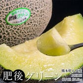 【約1.6kg(1玉)/2~4Lサイズ】熊本県産 肥後グリーン