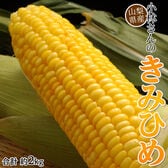【予約受付】6/15~順次出荷【約2kg/5本前後】山梨県産トウモロコシ 小林さんの『きみひめ』