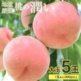 【予約受付】7/1~順次出荷【5玉/大玉】地域厳選の桃「潤い」《秀品》