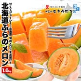 【予約受付】7/15~順次出荷【1.6kg×1玉入】お中元熨斗付 北海道ふらのメロン優品or秀品