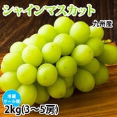 【予約受付】7/24~順次出荷〈クール便でお届け〉【2kg3~5房】九州産シャインマスカット