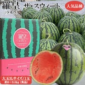 【予約受付】7/2~順次出荷【3L(8-9.5kg)/大玉】羅皇ザ・スウィート 日田西瓜《秀品》