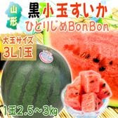 【予約受付】7/20~順次出荷【3L/1玉】山形県産 黒小玉すいか ひとりじめbonbon