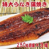 【3尾(約250g×3尾)】＜特大＞うなぎ蒲焼 タレ、山椒付き　計約750gの大容量