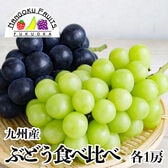 【予約受付】7月上旬~順次出荷【九州産】ぶどう食べ比べ 各1房