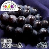 【予約受付】7月中旬~順次出荷【岡山 】2房　ピオーネ