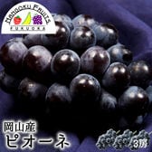 【予約受付】6月下旬~順次出荷【岡山 】3房　ピオーネ
