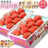 【予約受付】7/5~順次出荷【合計約3kg(約1.5kg×2箱)】《特秀品》 福島県産 伊達の桃