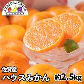 【予約受付】6月中旬~順次出荷【佐賀】約2.5kg   ハウスみかん