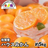 【予約受付】6月中旬~順次出荷【佐賀】約5kg   ハウスみかん