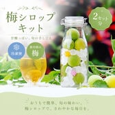 香川県三豊市産 梅 ☆梅シロップkit☆ 初心者でも失敗しない♪