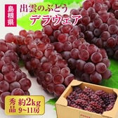 【予約受付】7/1~順次出荷【秀品 約2.0kg(9~11房)】島根県出雲市産 デラウェア