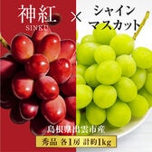 【予約受付】7/13~順次出荷【秀品 約1.0kg(2房)】島根県出雲市産 神紅&シャインマスカット
