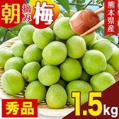 【予約受付】6/15~順次出荷【1.5kg】朝摘み梅《秀品》
