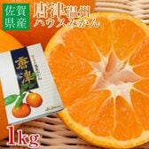 【1kg(化粧箱入)】唐津温州ハウスみかん