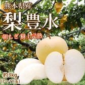 【予約受付】8/25~順次出荷【約3kg 7~11玉】熊本県産 梨 豊水