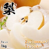 【予約受付】8/21~順次出荷【1kg】九州産 梨《個数・品種おまかせ》(ご家庭用)