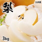 【予約受付】8/21~順次出荷【3kg】九州産 梨《個数・品種おまかせ》(ご家庭用)