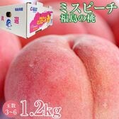【予約受付】8/1~順次出荷【約1.2kg(3~6玉)】福島県産 ミスピーチ白桃《秀品》
