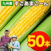 【予約受付】7/13~順次出荷【50本入】朝取り直送 九州産すごあまこーん とうもろこし
