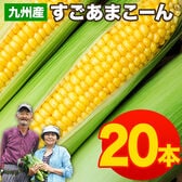 【予約受付】7/13~順次出荷【20本入】朝取り直送 九州産すごあまこーん とうもろこし