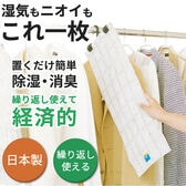 【日替わり数量限定】強力消臭＆除湿シート クローゼット用(2枚入り)※日本製【先行チケット利用NG】