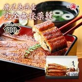 【約200g×3尾】うなぎ蒲焼き 国産　完全無投薬 鹿児島県産 特大【化粧箱入り】