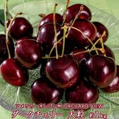 【約1kg】『無燻蒸 特大ダークチェリー』アメリカオレゴン州産 【冷蔵】