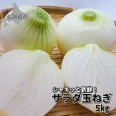 【予約受付】8月上旬~順次出荷　北海道産 サラダ玉ねぎ 5kg