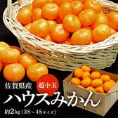 【予約受付】7/6~順次出荷【約2kg(目安として45〜64玉)】佐賀県産 ハウスみかん