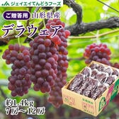 【予約受付】7/20~順次出荷【約1.4kg(7-12房)】[秀品]山形県産ぶどうデラウェア