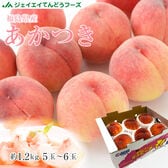 【予約受付】7/5~順次出荷【約1.2kg(5-6玉)】福島産白桃あかつき※秀以上