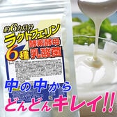 【約6か月分】ラクトフェリン酵素酵母6種乳酸菌