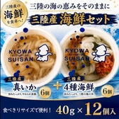 【2種計12個】三陸産海鮮カップ2種セット（真いか＆4種海鮮うに・いくら入り）