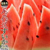 【約6.8kg/2Lサイズまたは3Lサイズ】山形県産 尾花沢すいか キズ・空洞あり【冷蔵】