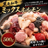 【500g】九州産黒毛和牛 ミックスホルモン