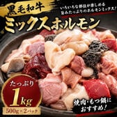 【計1kg/500g×2パック】九州産黒毛和牛 ミックスホルモン