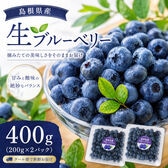【計400g (200g×2パック)】 島根県産 無農薬 生ブルーベリー