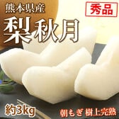 【予約受付】9/11~順次出荷【約3kg 6~10玉】熊本県産 梨 秋月