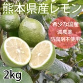 【予約受付】9/25~順次出荷【2kg(2S-L)】熊本県産 レモン 国産レモン