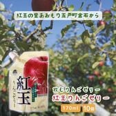 【170ml×10個】飲むりんごゼリー 夢の森 紅玉りんごゼリー すっきりとした甘さ