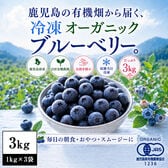 【3kg】鹿児島県産冷凍オーガニックブルーベリー