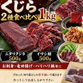 【2種計1kg】くじら2種食べ比べセット（ニタリ鯨＆イワシ鯨）