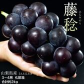 【約2kg/3〜4房 】藤稔（ふじみのり） 山梨県産ぶどう JAふえふき【冷蔵】【熨斗可】