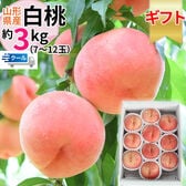 【3kg】＜秀選＞白桃 山形県産 品種おまかせ(7〜12玉入り) クール便